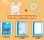Reusable Magic Water Books With Water Pens (Pack Of 4)